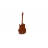 Takamine GD20CE-N