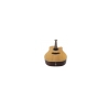 Takamine GD20CE-N