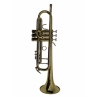 Flame Pro JYTR 409 Trompeta