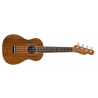 Fender Zuma Concert Ukulele