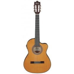 Ibanez GA5TCE3Q-AM