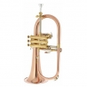 TH FH 600 G Bb-Flugelhorn