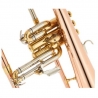 TH FH 600 G Bb-Flugelhorn