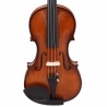 Hora Vioara 4/4 Maestru Guarneri