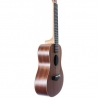 Arrow MH10 Sapele Concert Set Ukulele