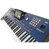 Korg PA-5X 61 Musikant