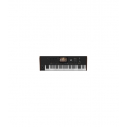 Korg PA-5X 76 Oriental SH