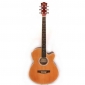 FLAME MJG 201 CE N