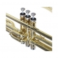 Classic Cantabile VP-16