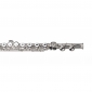 Classic Cantabile FL-200