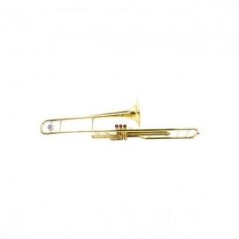 Trombon Parrot 6425 L