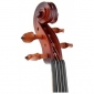 Thomann Classic Violinset 1/4