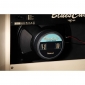 Roland Blues Cube Artist