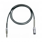 Bespeco IROMS100P