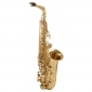 Yanagisawa A-WO1 Alto Saxophone