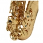Yanagisawa A-WO1 Alto Saxophone
