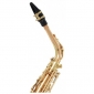 Yanagisawa A-WO2 Alto Saxophone