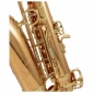 Yanagisawa A-WO2 Alto Saxophone