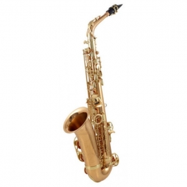 Yanagisawa A-WO2 Alto Saxophone