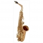 Yanagisawa A-WO2 Alto Saxophone