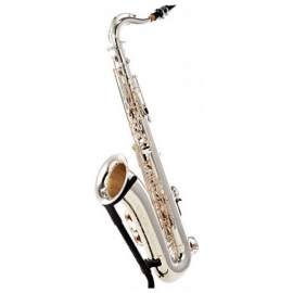 Yamaha YTS-480S