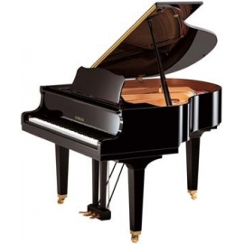 Yamaha GB1 K