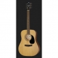 Cort AD810-OP