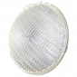 GE Lighting PAR56 300 Watts WFL