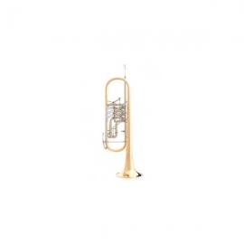 B&S 3005/3TR