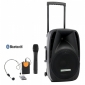 Pronomic PH15AW
