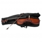 Flame MC760L Cello 4/4 Set