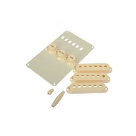 Fender Strat Accessory Kit Aged White