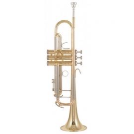 B&S 3137-L Challenger I L