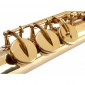 Classic Cantabile Winds SS-450