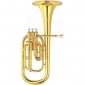ALTHORN PARROT 5402 CU PISTOANE