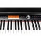 Thomann DP-95 B