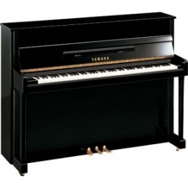 YAMAHA B2 PE