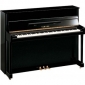 YAMAHA B2 PE