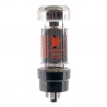 Sovtek TUBE 6L6WXT+