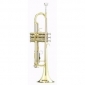 TROMPETA PARROT G 420 A