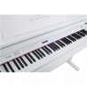 Hemingway DP-501 MKII WH Set