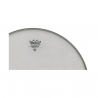 Remo 10" Ambassador Clear
