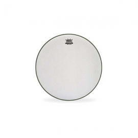 Remo 24" Ambassador Coated