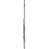Azumi AZ-Z2RI Flute
