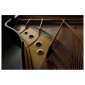 Kawai GL 10 E/P Grand Piano