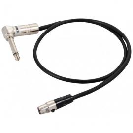 Shure WA 304
