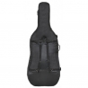 Ritter RSP5 Double Bass 4/4 BRR