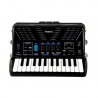 Roland FR-1X BK