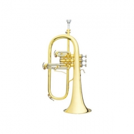 B&S 3145G-L Challenger I