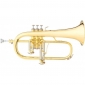 B&S 3145G-L Challenger I